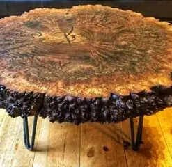 Claro Walnut Burl Coffee Table