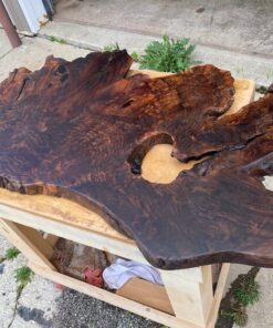 CLARO WALNUT BURL WOOD WALL ART